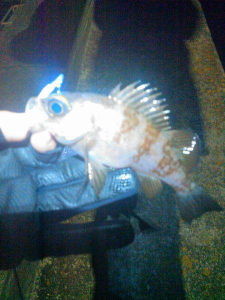 さぶかったぁー